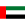 UAE Flag